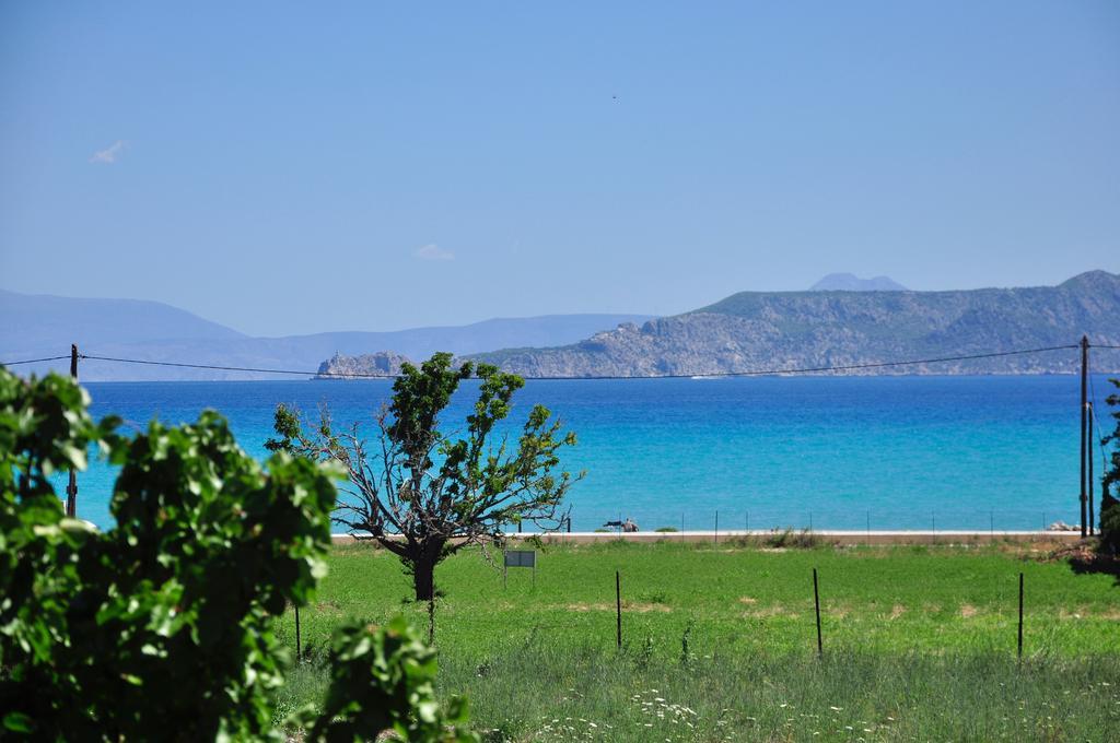 Phoenix Beachside Condos Kokkónion Dış mekan fotoğraf